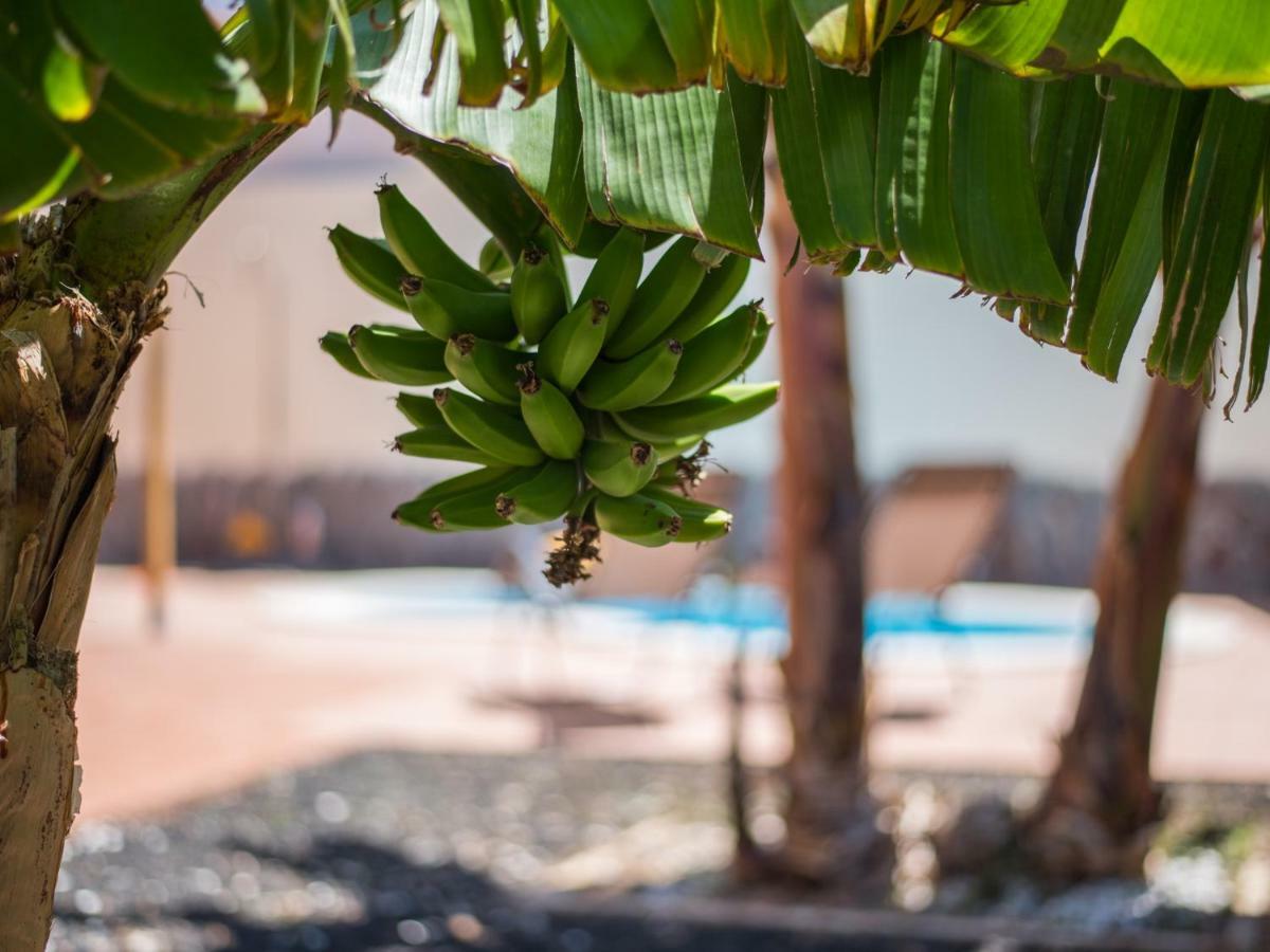 Amazing Villa Viktoria! Pool Big Garden Costa Adeje  Exterior foto